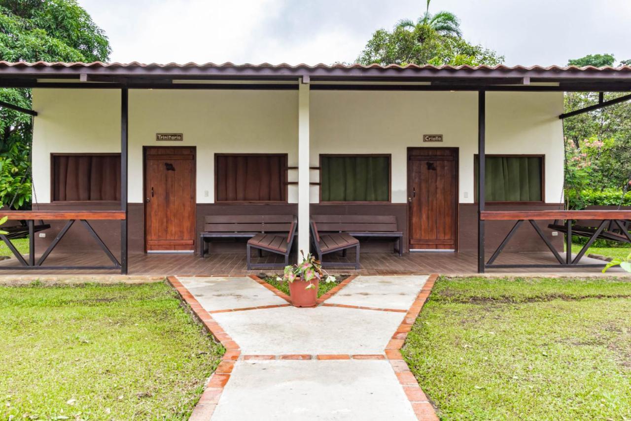 Colonia Dos Ríos La Anita Rain Forest מראה חיצוני תמונה
