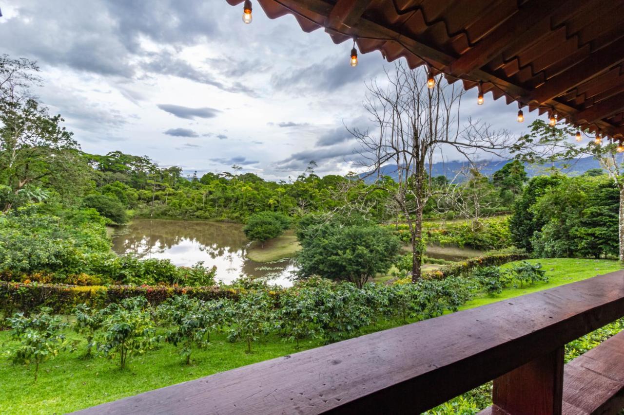 Colonia Dos Ríos La Anita Rain Forest מראה חיצוני תמונה