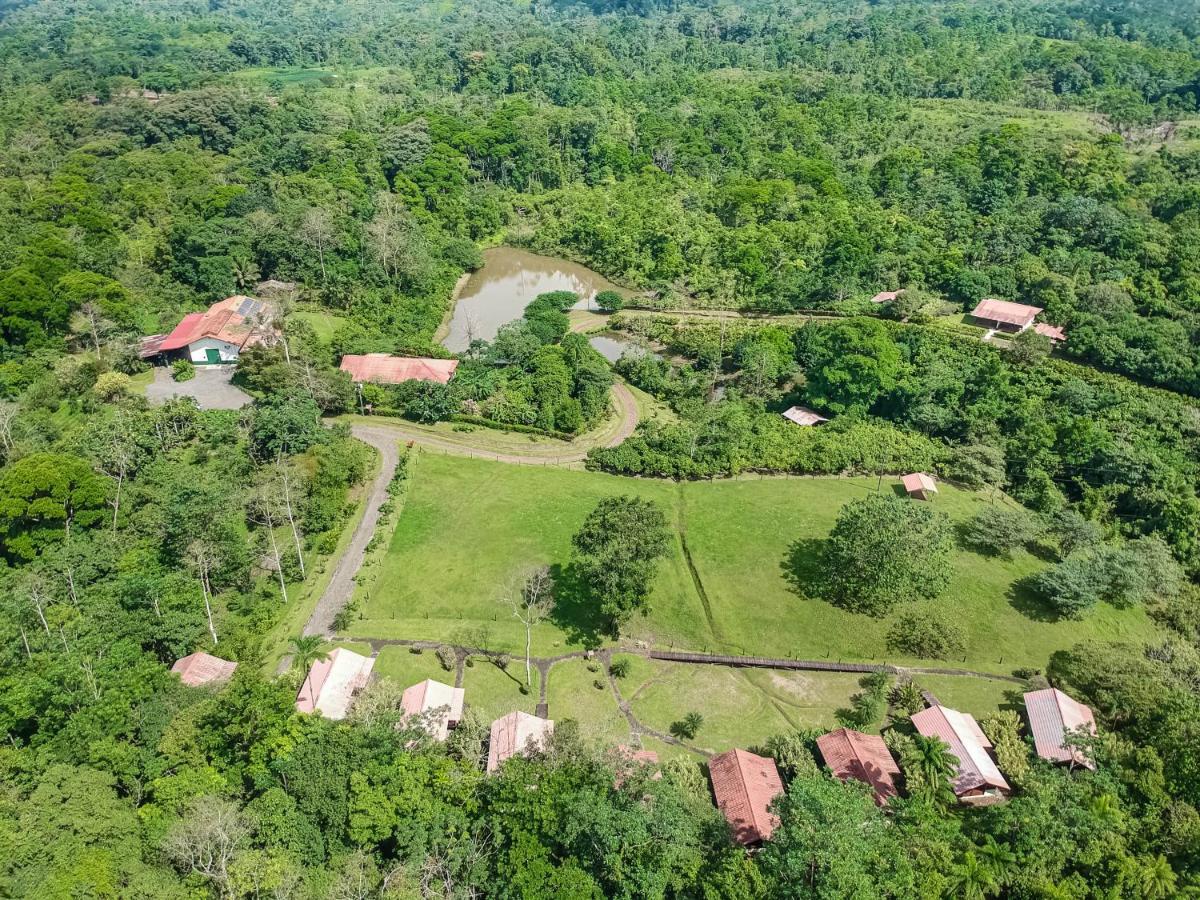Colonia Dos Ríos La Anita Rain Forest מראה חיצוני תמונה