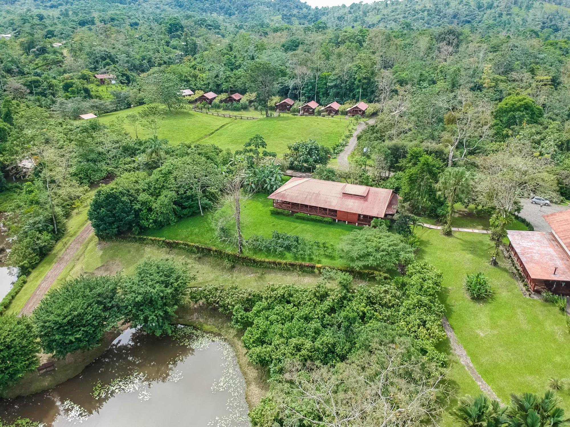 Colonia Dos Ríos La Anita Rain Forest מראה חיצוני תמונה