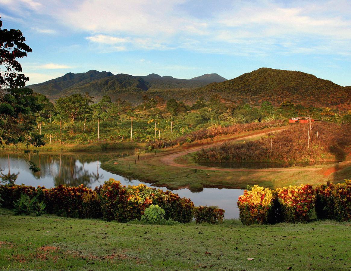 Colonia Dos Ríos La Anita Rain Forest מראה חיצוני תמונה