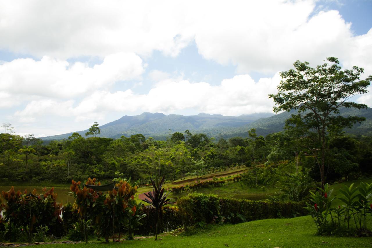 Colonia Dos Ríos La Anita Rain Forest מראה חיצוני תמונה