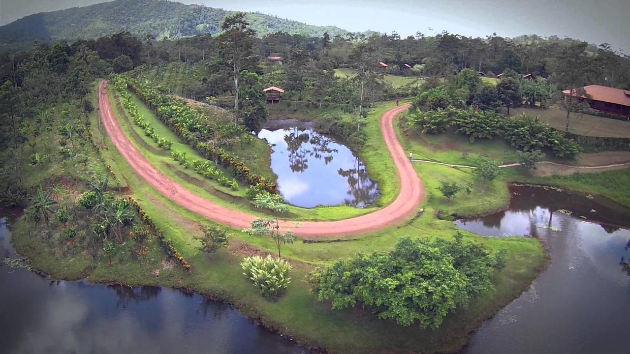 Colonia Dos Ríos La Anita Rain Forest מראה חיצוני תמונה