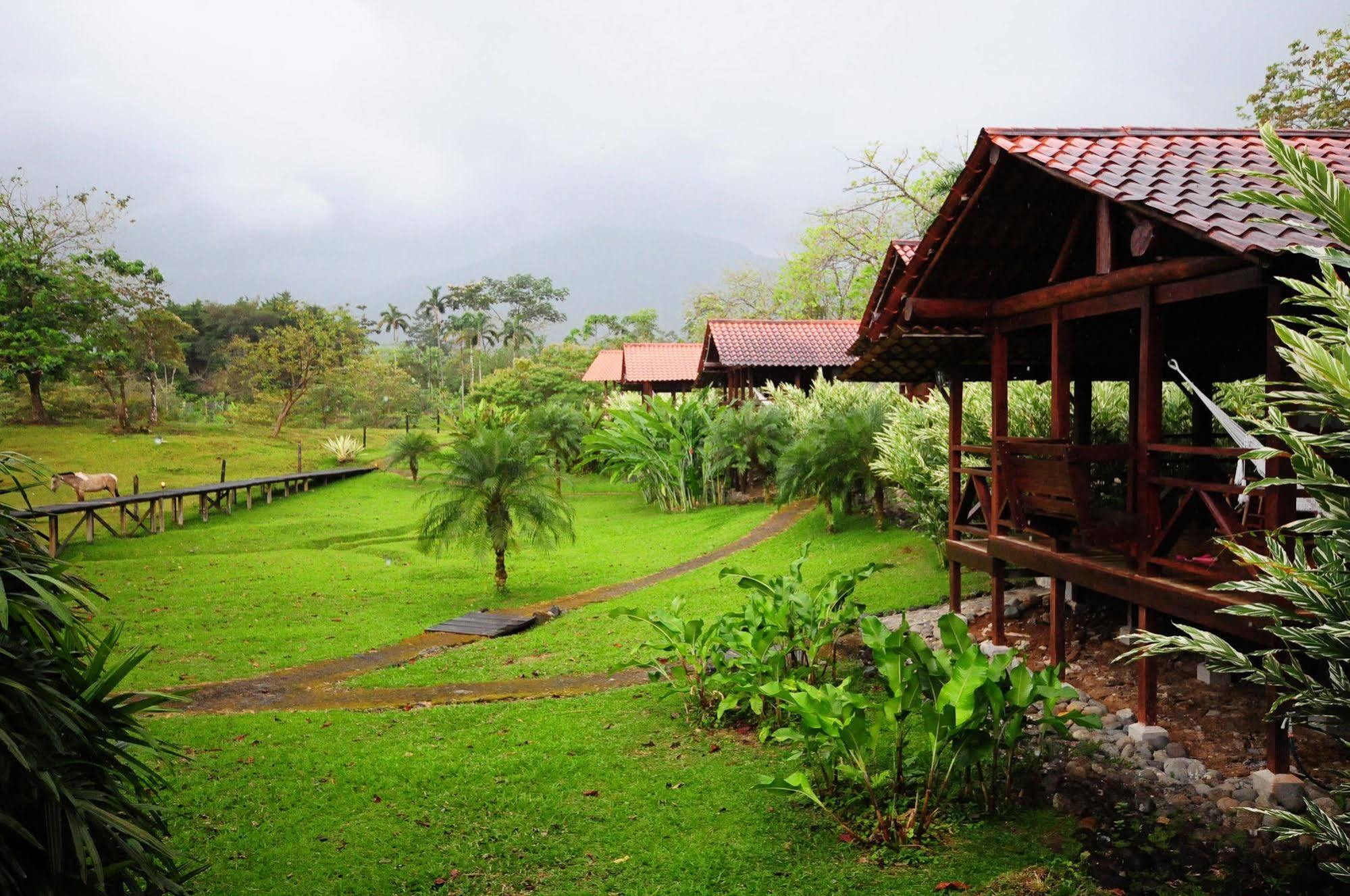 Colonia Dos Ríos La Anita Rain Forest מראה חיצוני תמונה