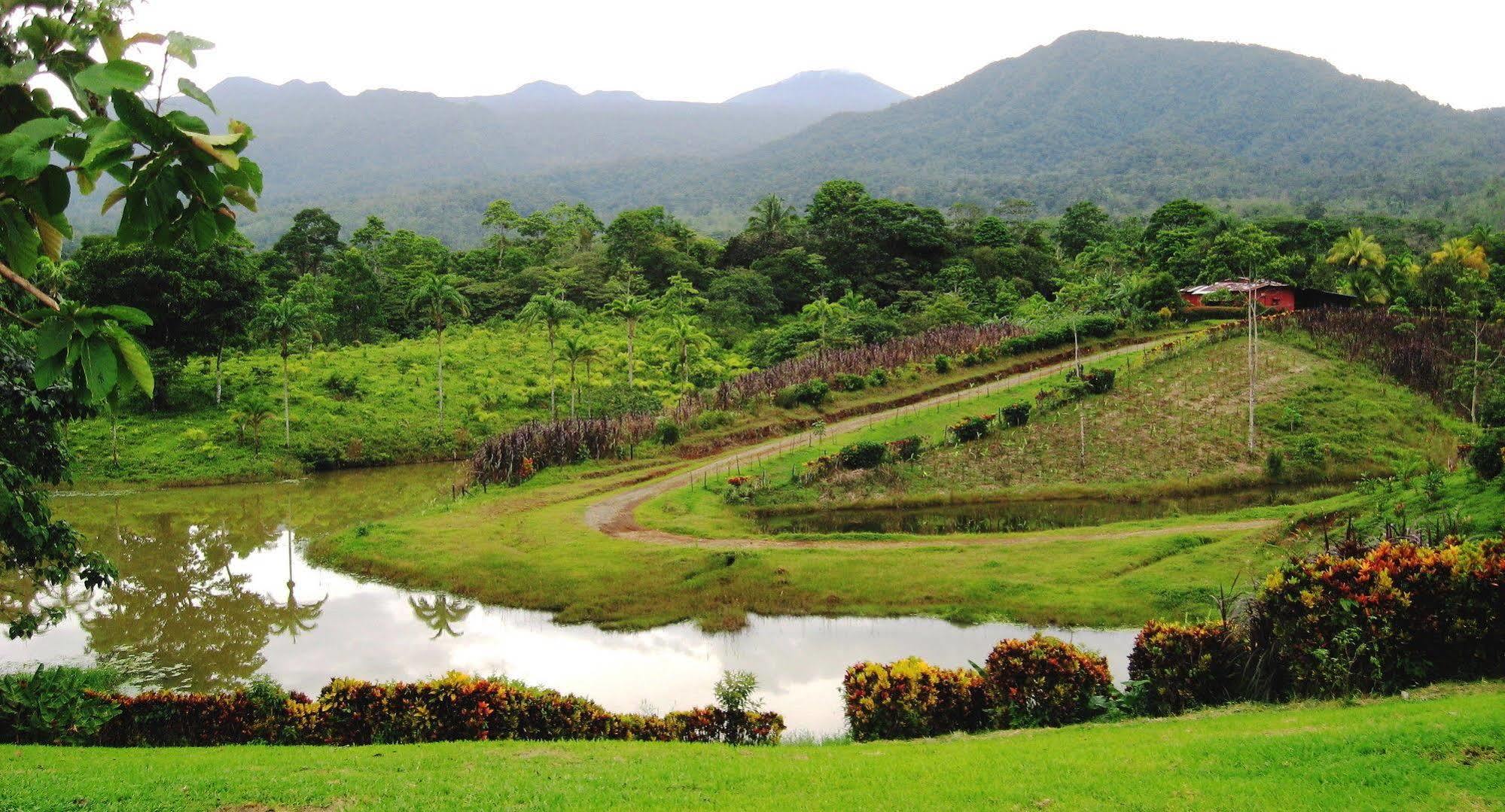 Colonia Dos Ríos La Anita Rain Forest מראה חיצוני תמונה